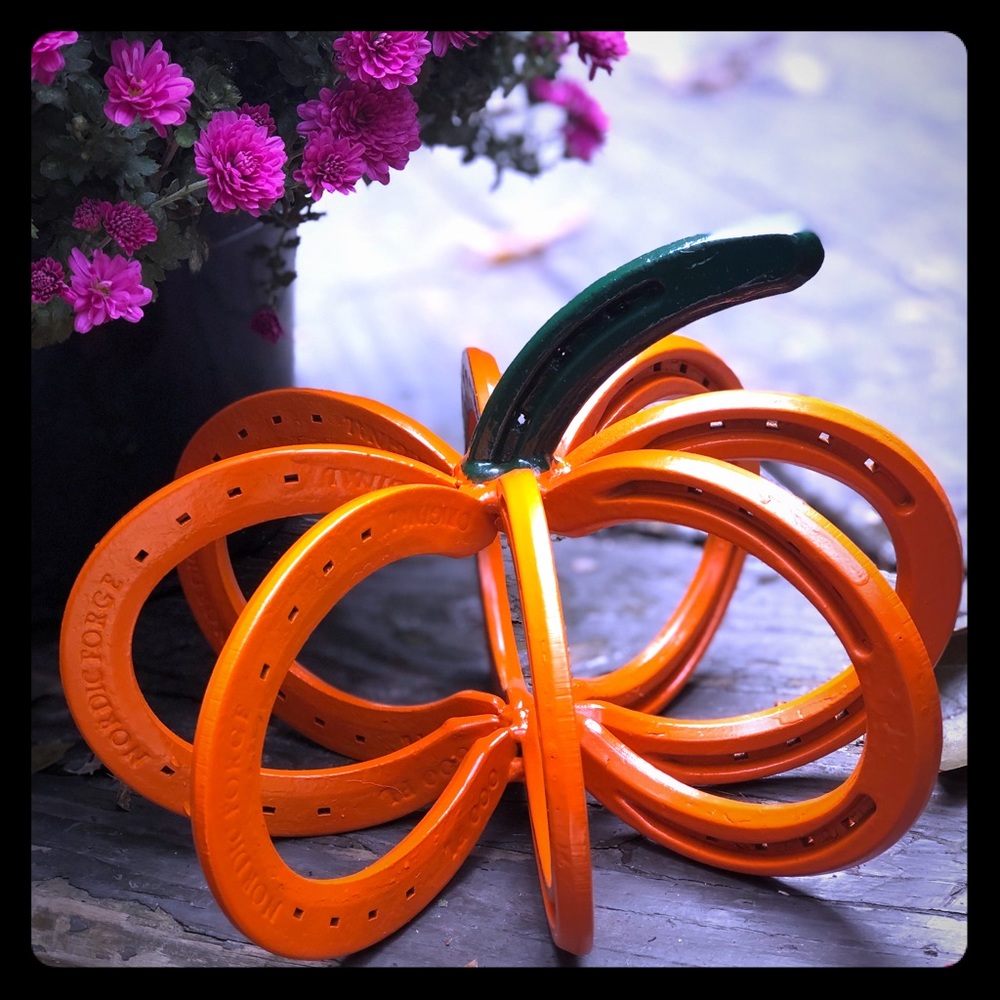 Orange Horseshoe pumpkin